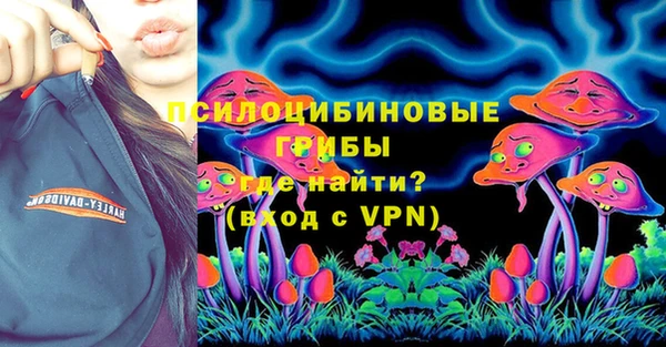 стафф Гусь-Хрустальный